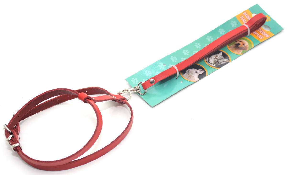 

Комплект поводок и шлея для котов и собак КОТ КОЖА красный