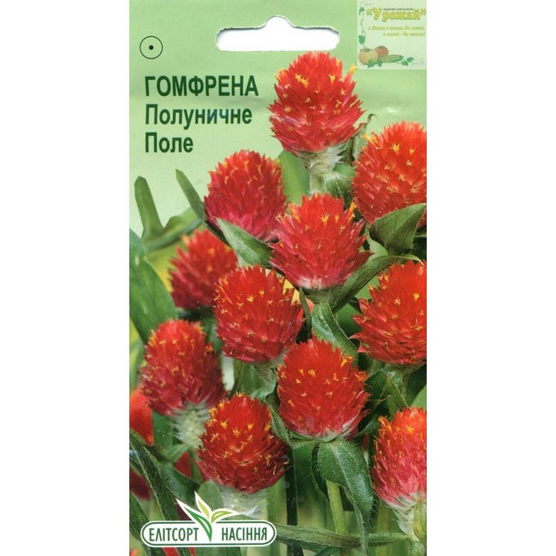 

Семена цветы Гомфрена Клубничное Поле, 0,1 г, Красный