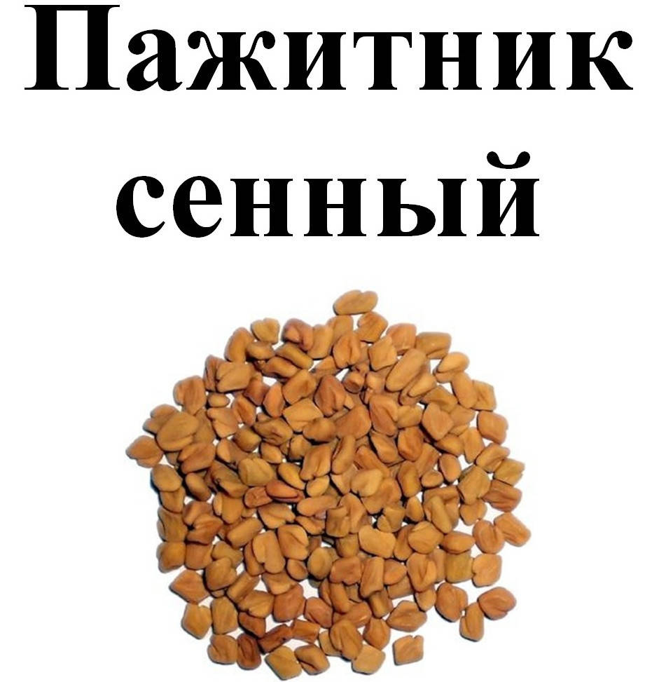 

Пажитник сенный, 50 грамм