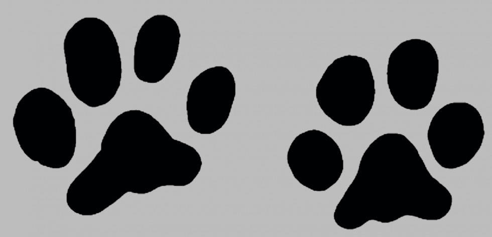 

Виниловая наклейка " Лапки 4 шт" 14х15 см