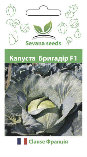 

Семена капусты Бригадир F1 50 шт. Clause