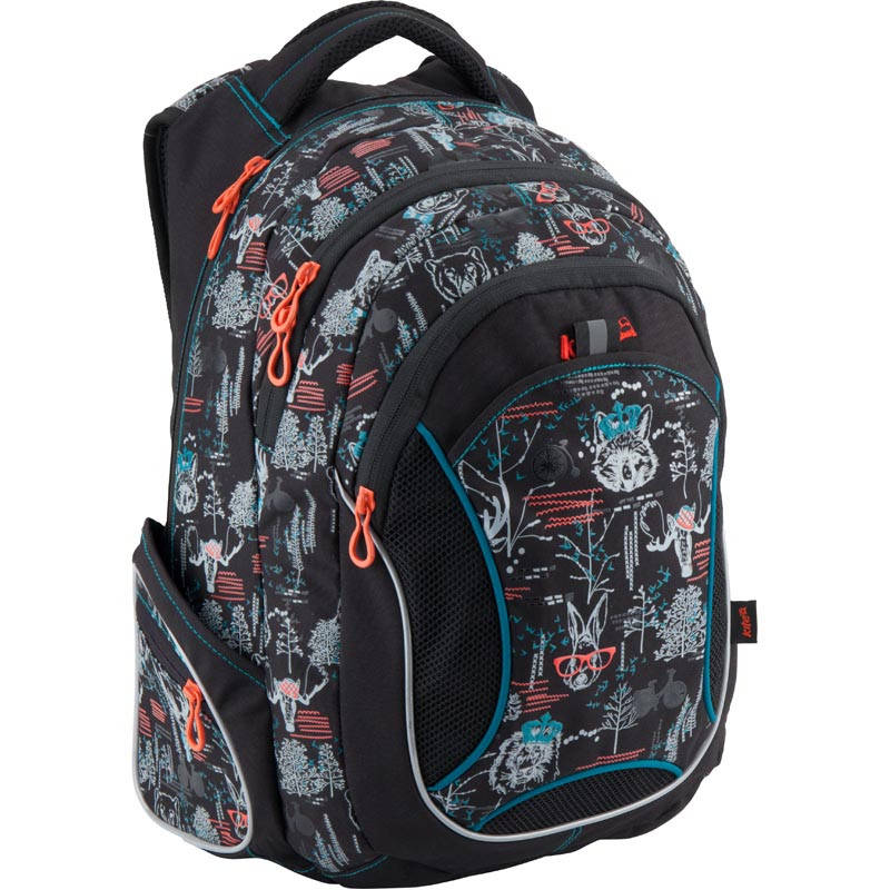 

Рюкзак школьный подростковый ортопедический Kite Take'n'Go K18-805L