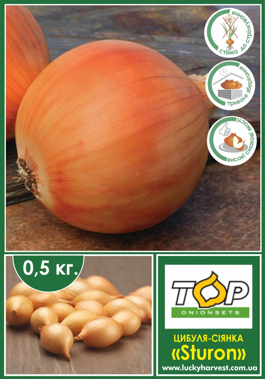 

ВЕСНА 2022!Цибуля-сіянка "Sturon" (Стурон) ТМ "ТОР Onions" (Нідерланди) 0,5 кг. 8/21