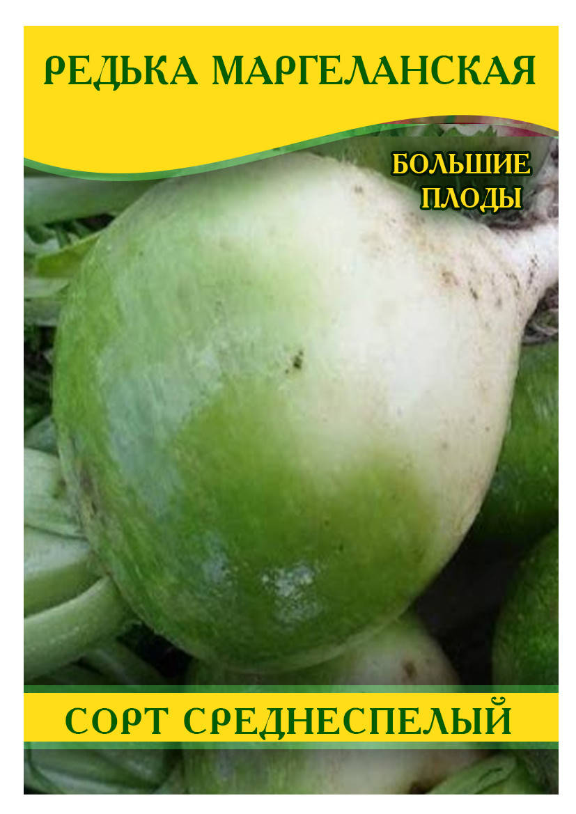 

Семена редьки Маргеланская, 0,5кг