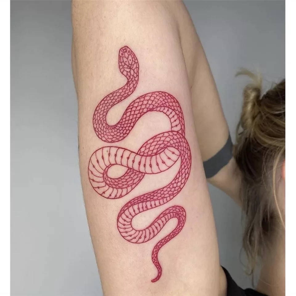 

Временная тату красная змея /Red snake Переводная татуировка