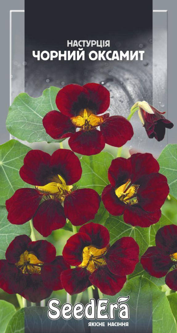 

Семена Настурция низкорослая Черный Бархат 1 грамм SeedEra