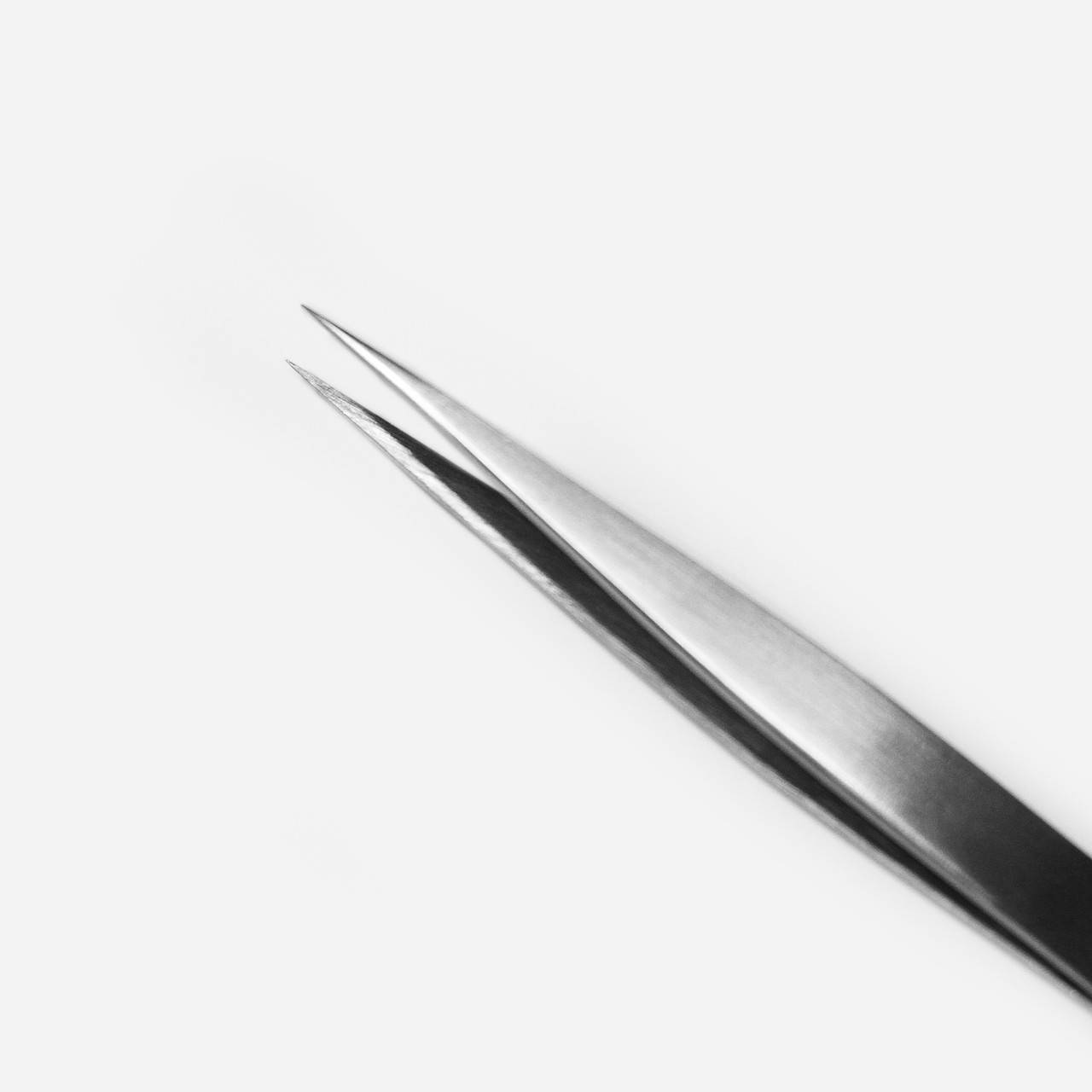 

№ 09 Sculptor lash