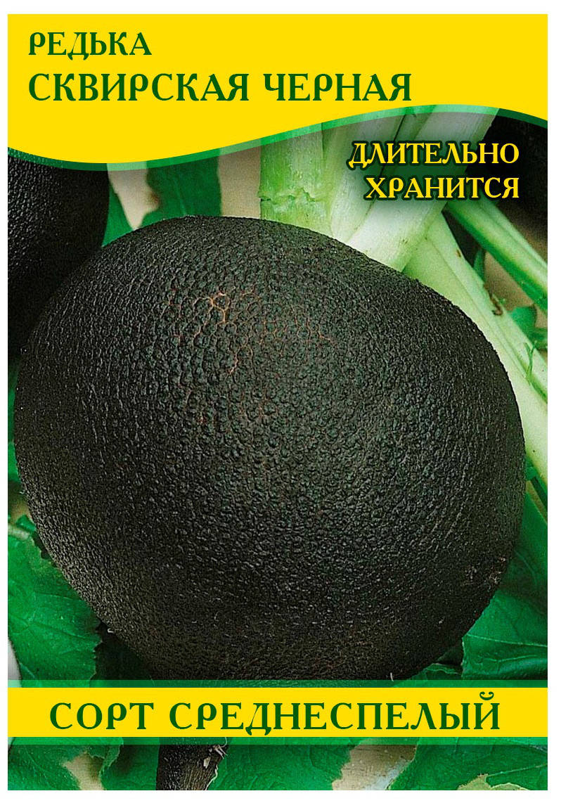 

Семена редьки Сквирская Черная, 1кг