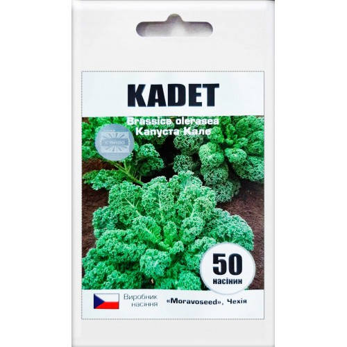 

Насіння капуста кале Кадет (Kadet) 50 шт 200453