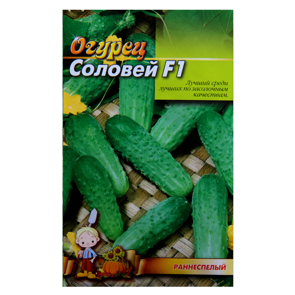 

Огурец Соловей F1 раннеспелый большой пакет 3 г