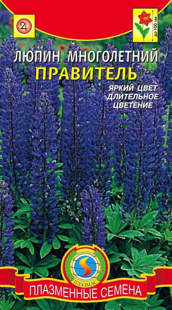 

Люпин многолетний Правитель 0,45 г (Плазменные семена)