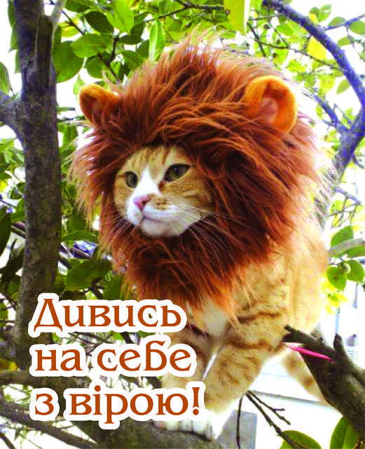 

Міні-листівка: Дивись на себе з вірою! № 151