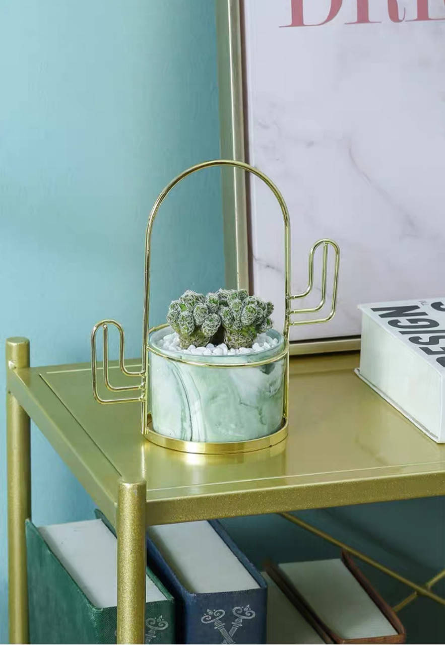 

Горшок Кактус Керамический для комнатных растений Кашпо Вазон