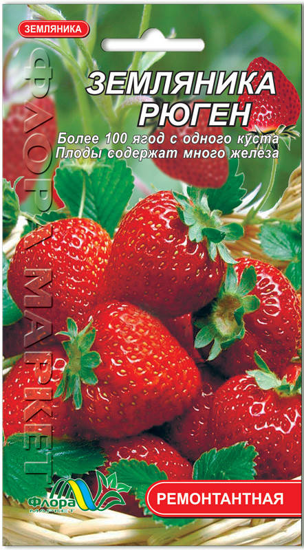 

Семена земляники Рюген 0,03 Флора маркет