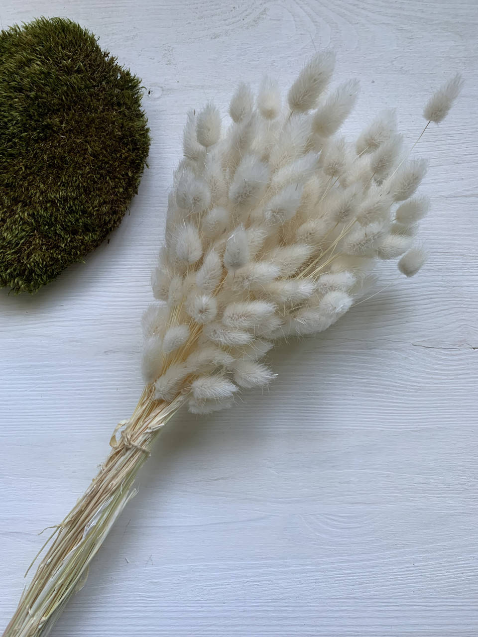 

Лагурус большая упаковка