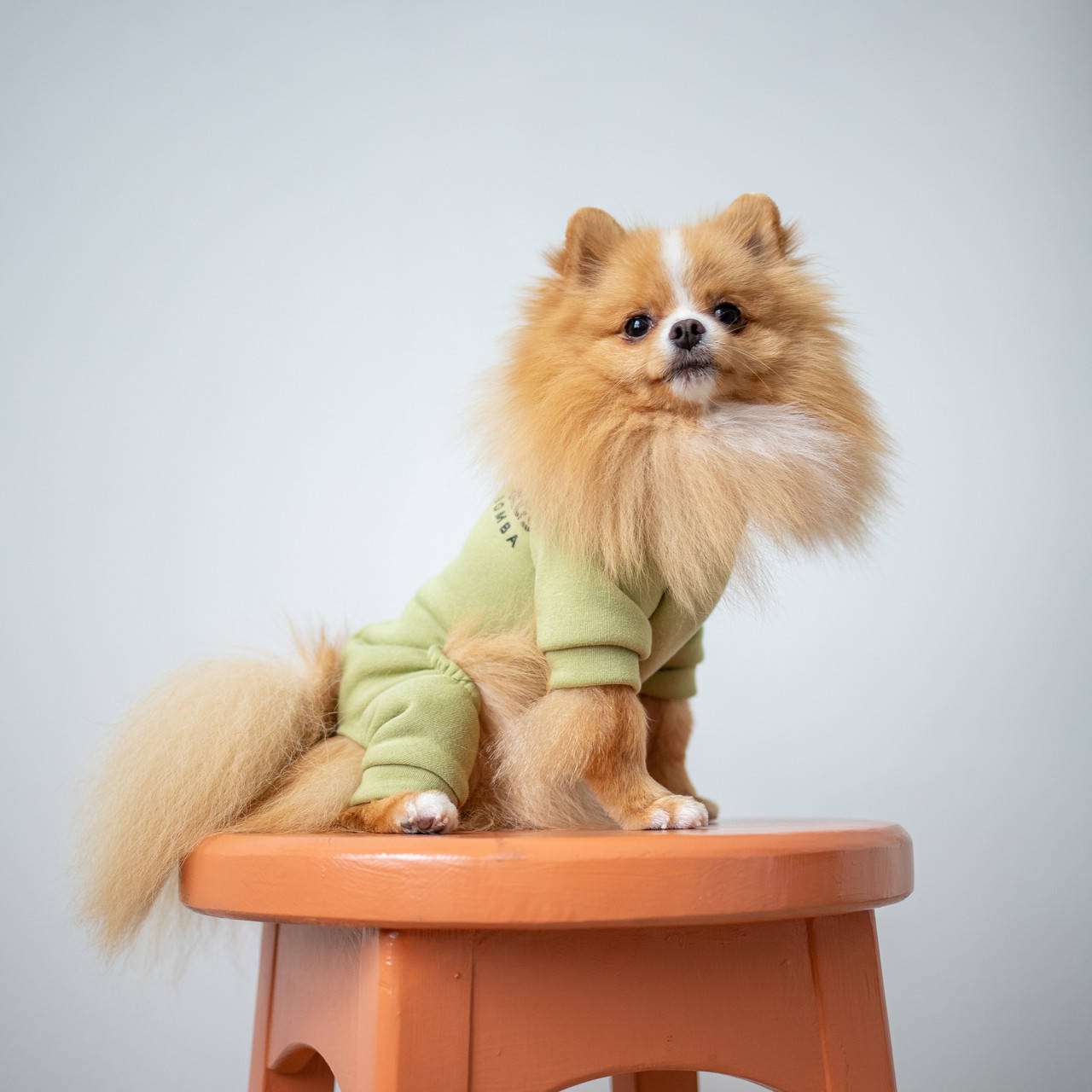 

Костюм из трехнитки на змейке оливка для собак Dogs Bomba