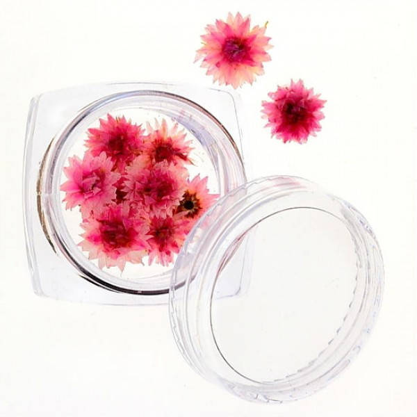 

Сухоцветы №31, Розовый