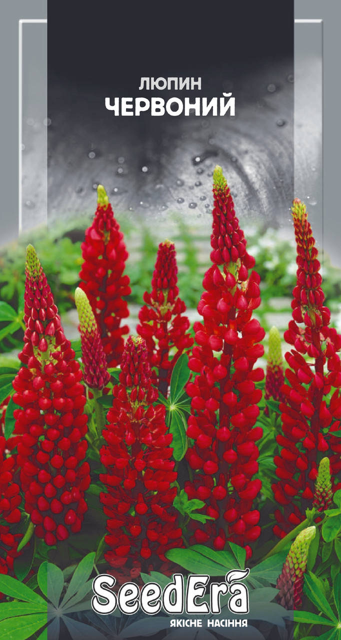 

Люпин багаторічний червоний 0,5г (SeedEra) (шт.)