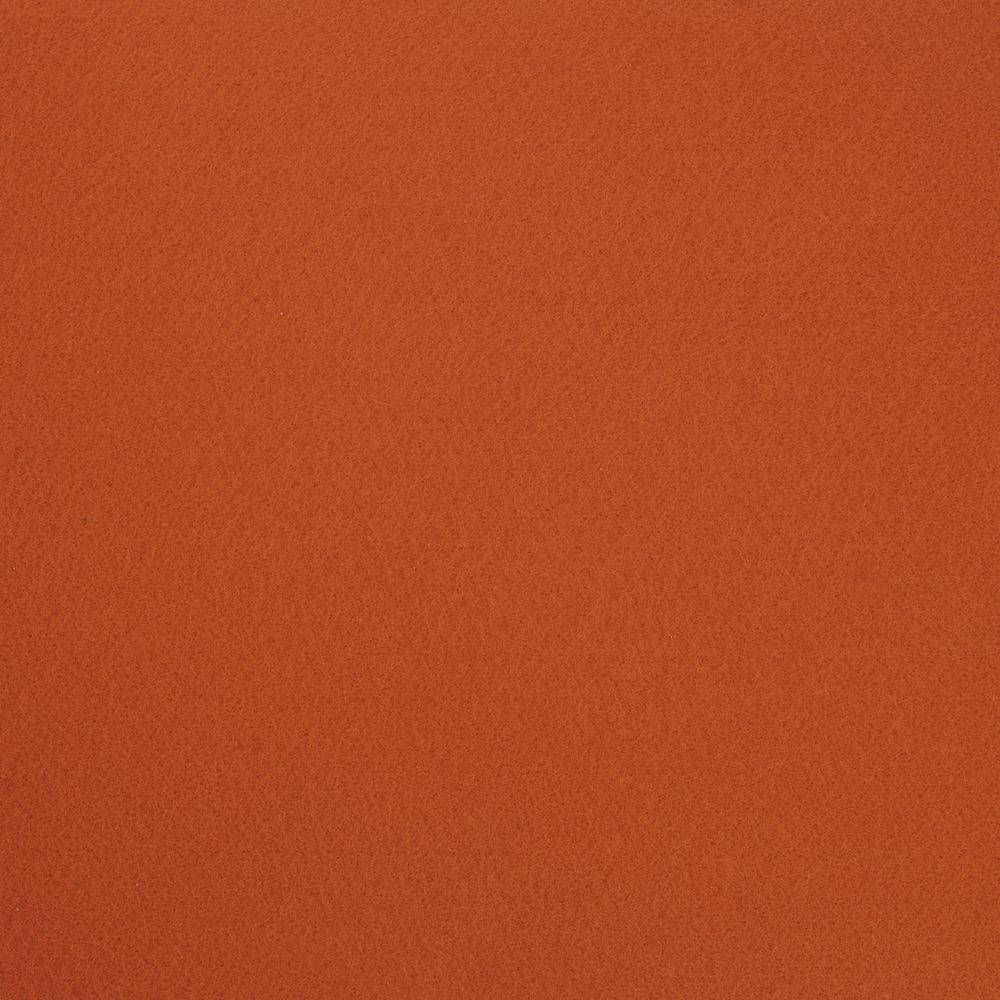

Фетр корейский жесткий 1.2 мм, 22x30 см, СВЕТЛО-КОРИЧНЕВЫЙ 943