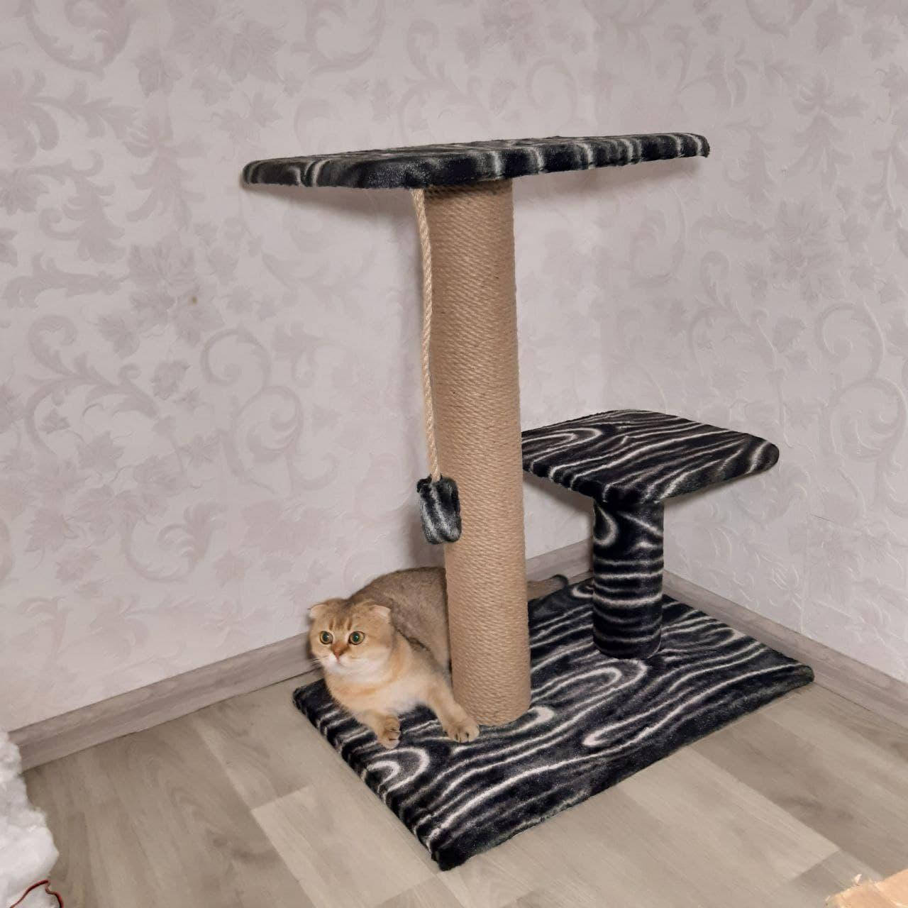 

Когтеточка столбик с лежанками для кошки, котов и котят 63см