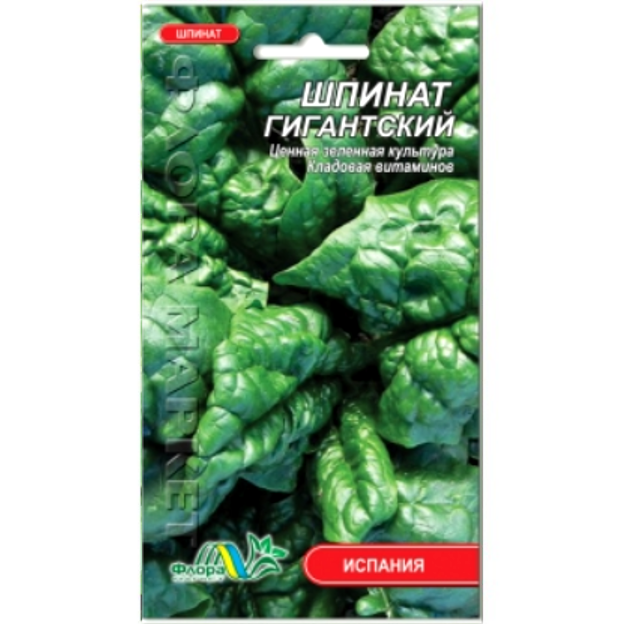 

Семена Шпинат гигантский Испания 1 г
