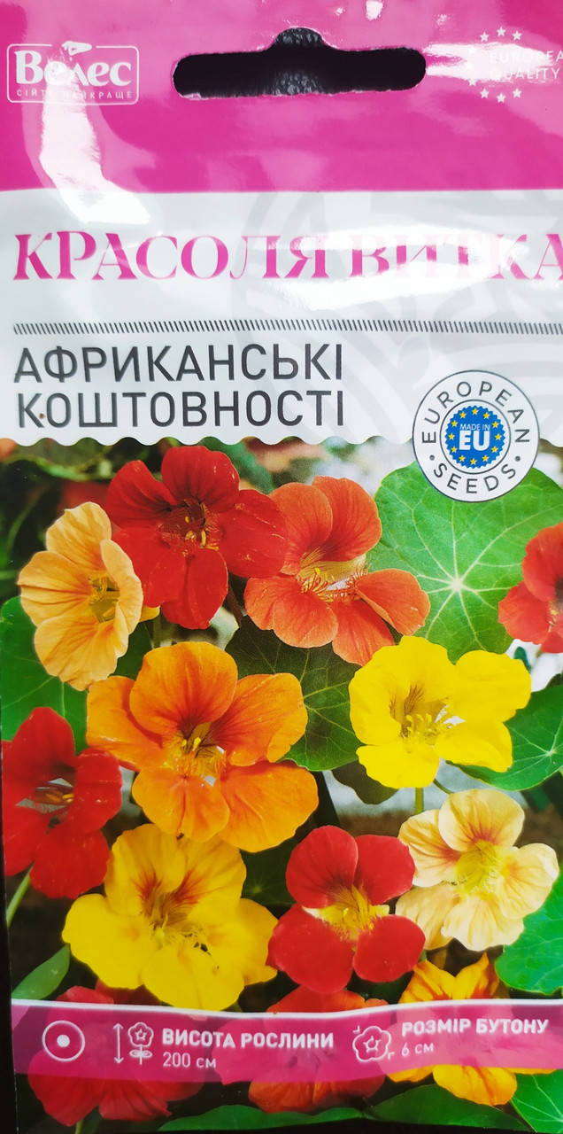 

Красоля витка Африканські коштовності