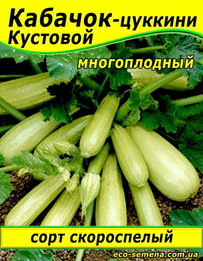 

Семена Кабачок Кустовой / 500 г
