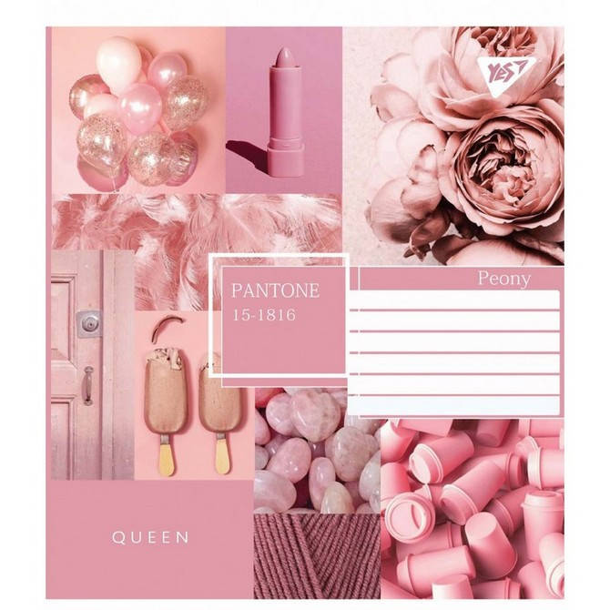 

Зошит шкільний 36 аркушів клітинка Collage pantone 15шт/уп YES