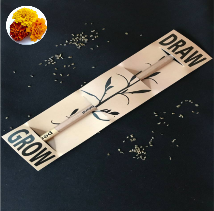 

Растущий карандаш Draw&Grow (бархатец)