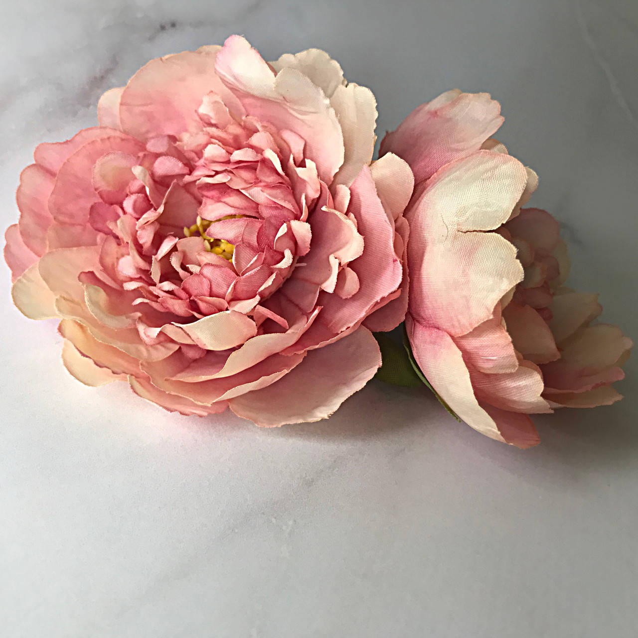 

Головка пиона кучерявая, пудрово-персиковая, 8-9 см