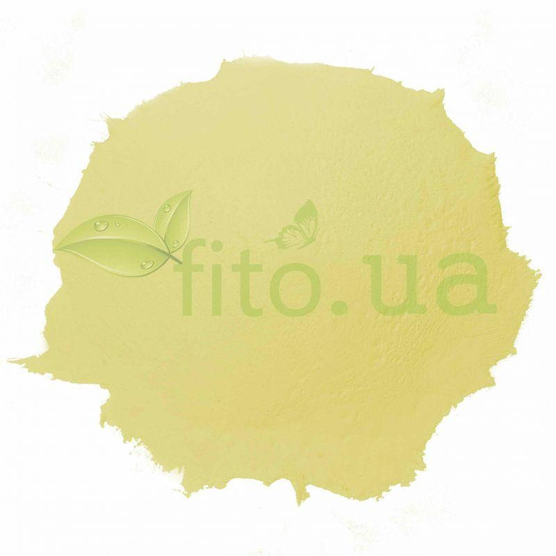 

Пыльца Ликоподия (плаун) 50 гр.