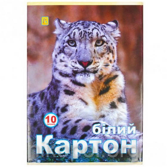 

Белый картон для аппликаций 10 листов А4 "Коленкор" "Аляска" №2