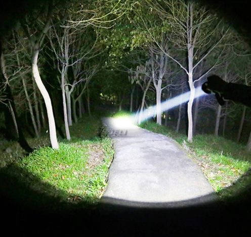 

Налобный фонарь BORUiT D 25 1000LM XM-L2 (Оригинал), Черный