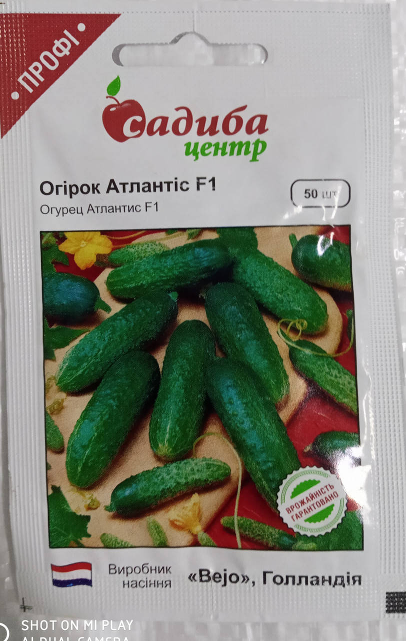 

Насіння огірок Атлантіс F1 50 шт. Bejo Голландія