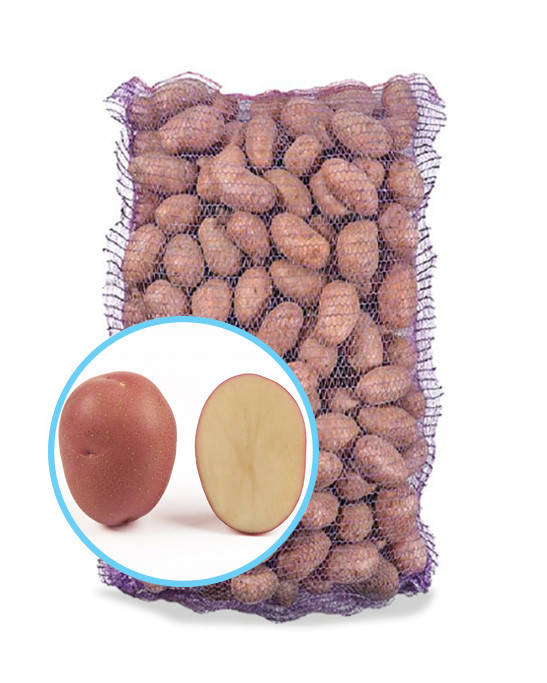 

Семенной картофель Кристина, Голландия / Ранний / 1я репродукция Упаковка 5кг