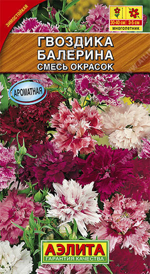 

Аэлита. Семена Гвоздика Балерина махровая, многолетняя. 0.1 г