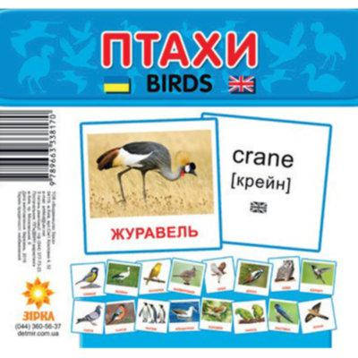 

Карточки - мини для малышей Птицы