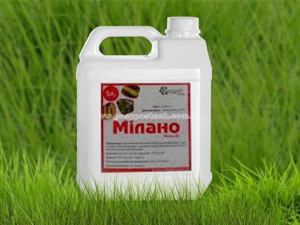 

Гербицид Милано для кукурузы