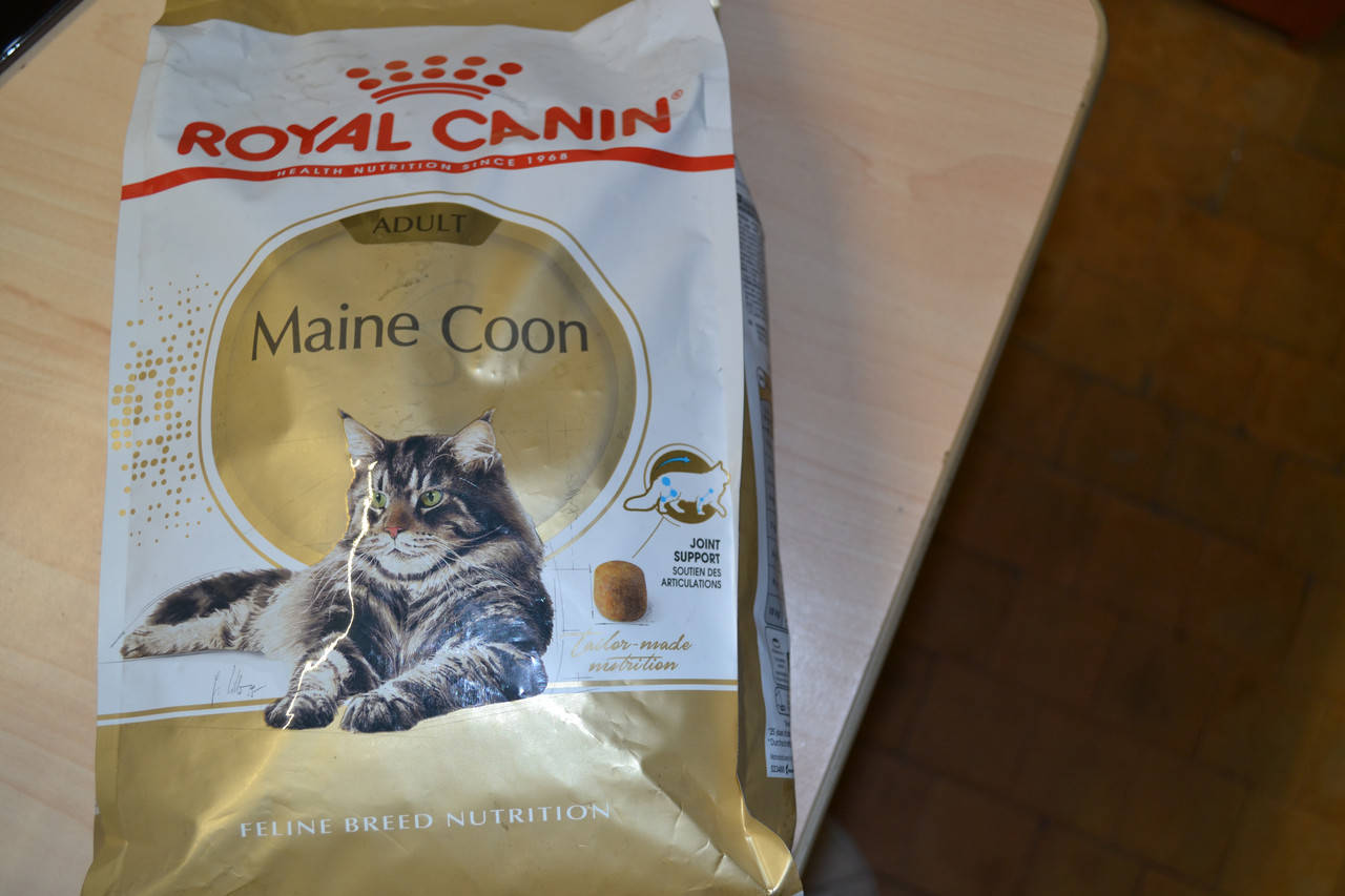Royal Canin Maine Coon 2 Кг Купить