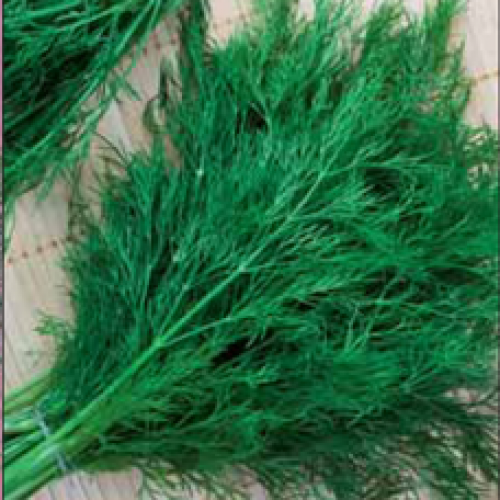 

Укроп “Кустовой”, 2 г