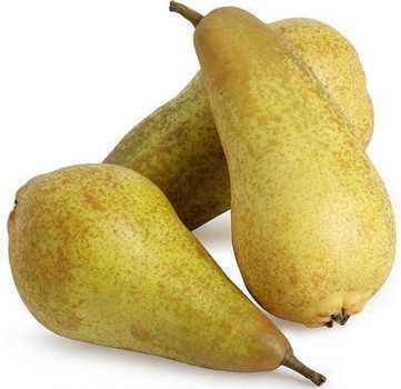 

Груша Аббат Феттель