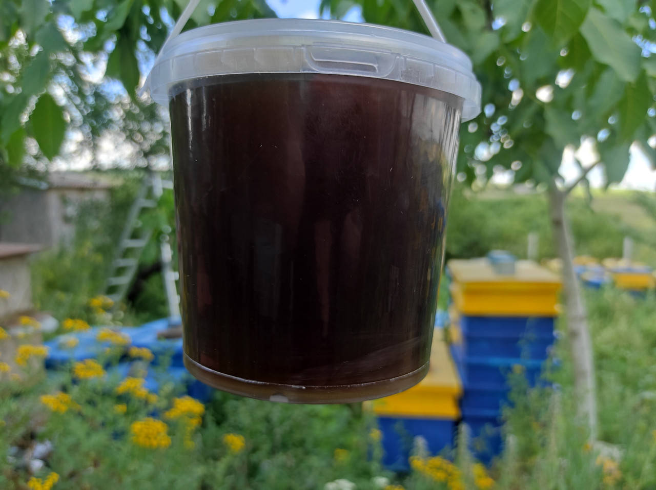 

1 л Мёд гречишный 2022 р