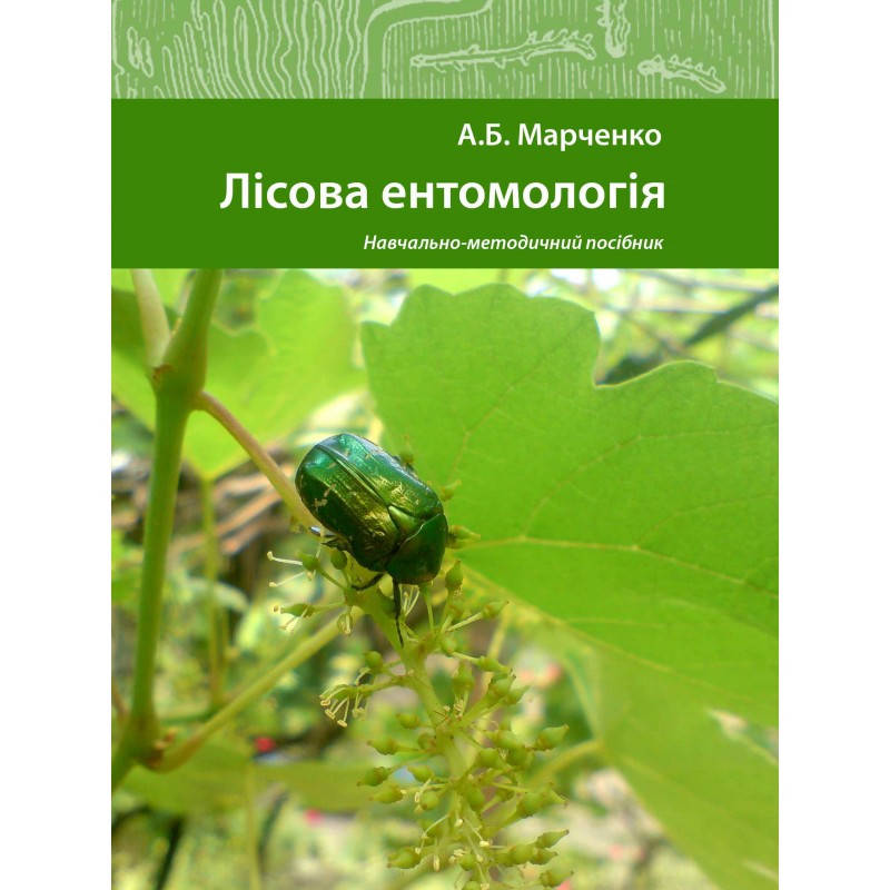 

Лісова ентомологія