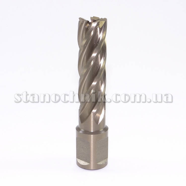 

Фреза кольцевая 16х55 мм HSS-XE Weldon Gold-Line KARNASCH (201270U016)