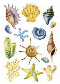 

Открытка "Море 1"