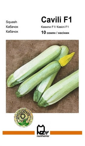 

Семена кабачок Кавили F1 Nunhems Голландия