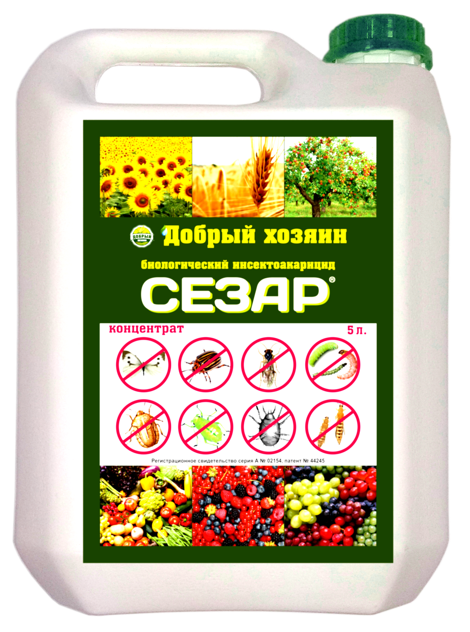 

Сезар - мощный инсектицид и акарицид против колорадского жука, тли, клещей и других вредителей 5л
