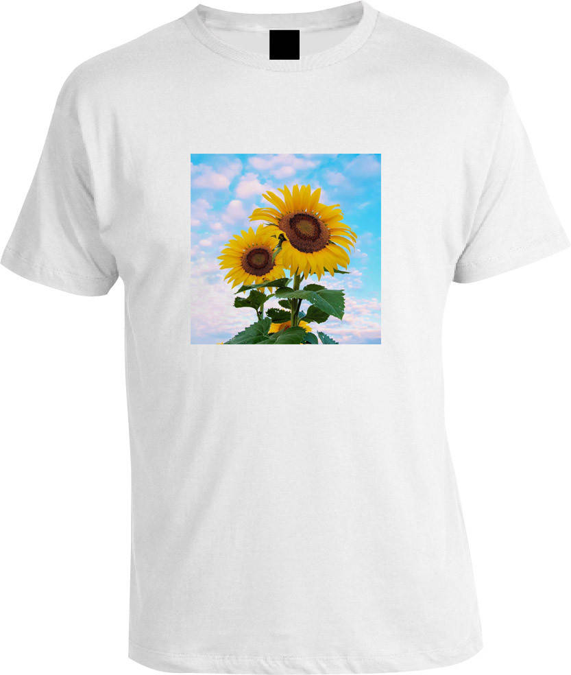 

Футболка Соняшники Подсолнечники Украина White