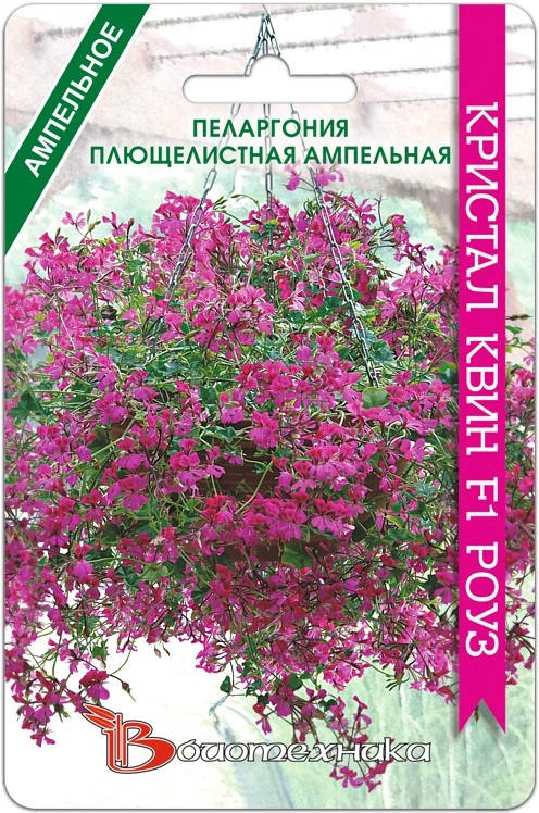 

Семена Пеларгония плющелистная ампельная Кристал Квин F1 Роуз 5 семян Биотехника, Розовый