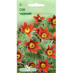 

Семена Сон-трава красная